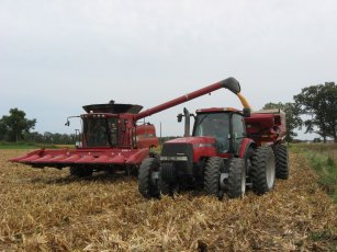 combine and grain cart 2010